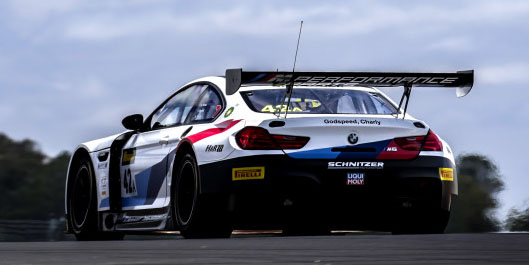 schnitzer back