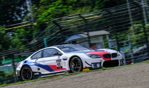schnitzerpolesuzuka