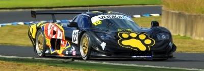 VIP Petfoods-Mosler MT900 GT3 - www.australiangt.com.au